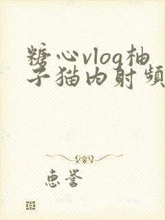 糖心vlog柚子猫内射频