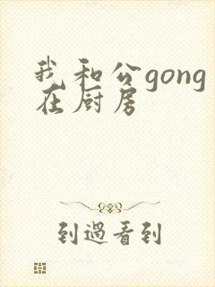 我和公gong在厨房