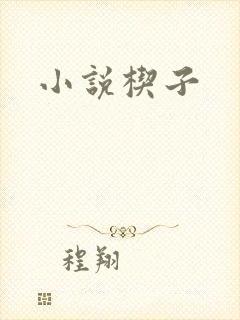 小说楔子