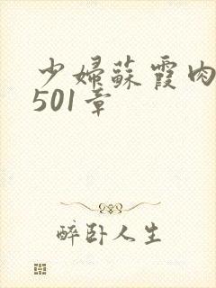 少妇苏霞肉欲第501章