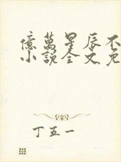 亿万星辰不及你小说全文免费阅读