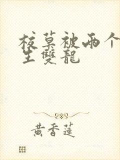 校草被两个体育生双龙