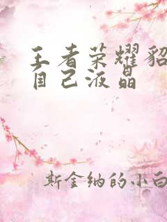 王者荣耀貂蝉喝自己液晶