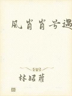 风肖肖兮遇子期