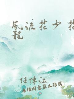 风流花少 花睿龙
