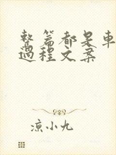 整篇都是车的肉过程文案