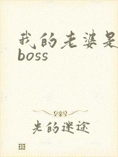 我的老婆是青楼boss