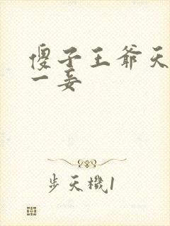 傻子王爷天下第一妾