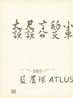 大尺寸的小黄车说说公交车