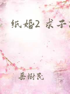 纸婚2 求子记