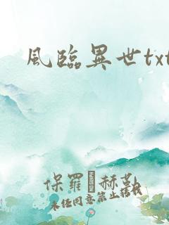 风临异世txt