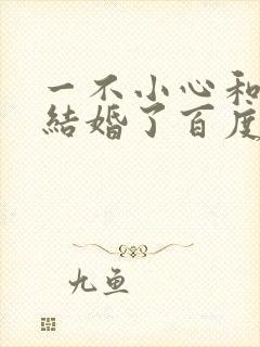 一不小心和醋精结婚了百度云
