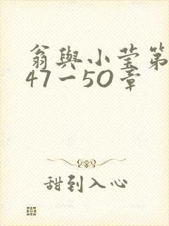 翁与小莹第十部47一5O章