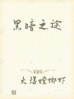 黑暗之途