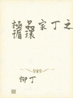 极品家丁之因果循环