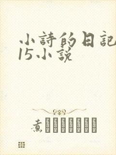 小诗的日记1一15小说