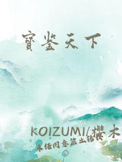宝鉴天下