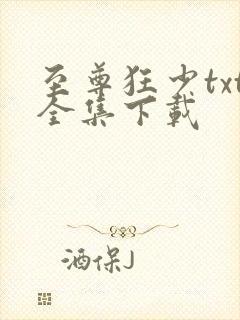 至尊狂少txt全集下载
