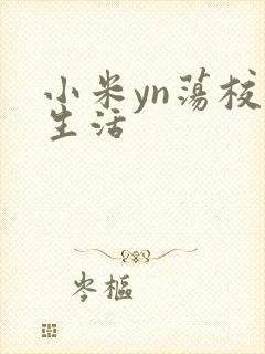 小米yn荡校园生活