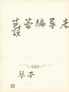 芭蕾编导老师小说