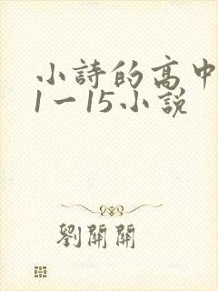 小诗的高中日记1一15小说