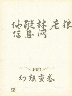 仙踪林老狼贰佰信息网