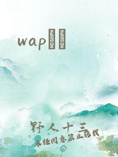 wapС˵
