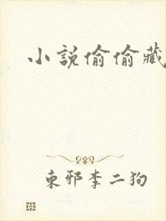 小说偷偷藏不住