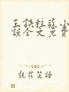 王铁柱苏小汐小说全文免费阅读最新章节