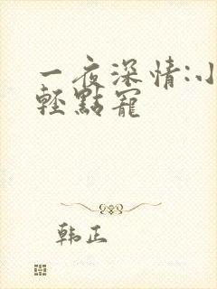 一夜深情:小叔轻点宠