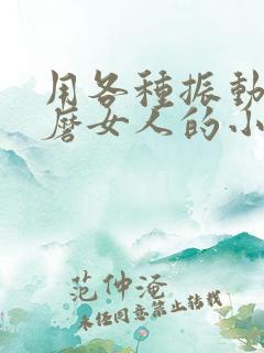 用各种振动器折磨女人的小说