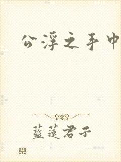 公浮之手中字5