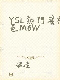 YSL热门蜜桃色M6W