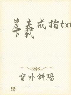 农夫戒指txt下载