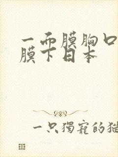 一面膜胸口一面膜下日本