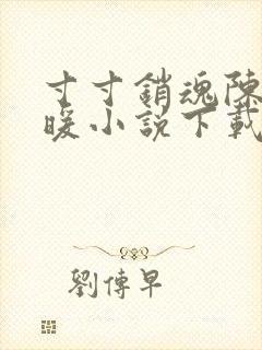 寸寸销魂陈聪王暖小说下载