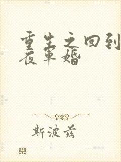 重生之回到新婚夜军婚