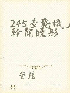 245章飞机上干关晓彤