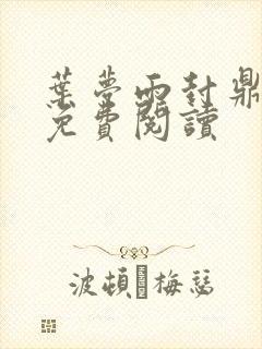 叶梦雨封鼎小说免费阅读