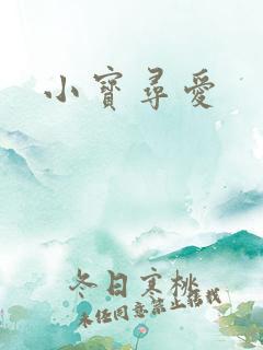 小宝寻爱