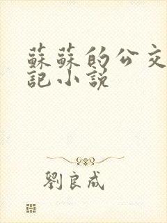 苏苏的公交车日记小说