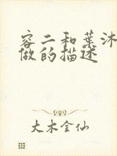 容二和叶沐走着做的描述