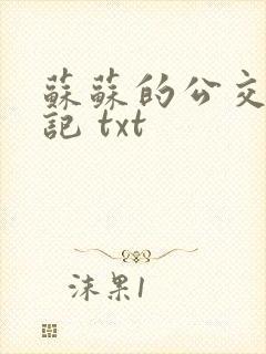 苏苏的公交车日记 txt