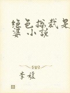 绝色总裁是我老婆 小说