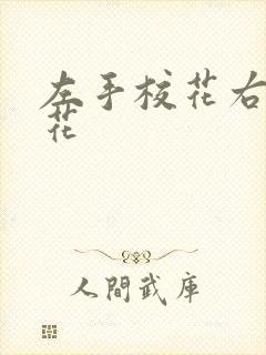 左手校花右手系花