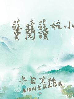 苏晴苏婉小说免费阅读