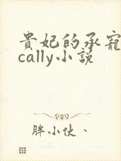 贵妃的承宠日常cally小说