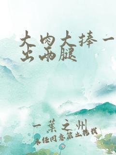 大肉大捧一进一出两腿