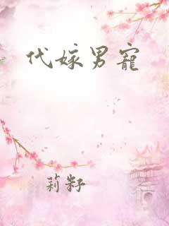 代嫁男宠