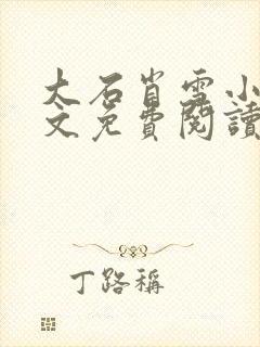 大石肖雪小说全文免费阅读